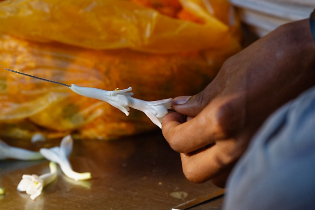 Mysore-Le marché-015